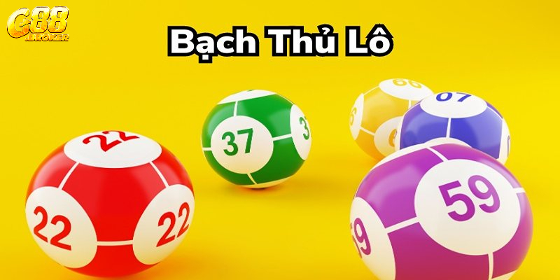 bạch thủ lô